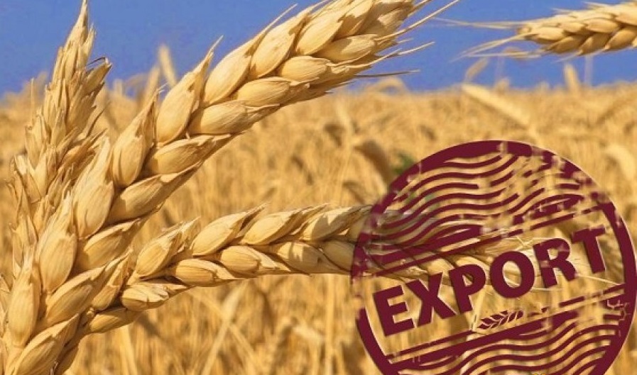 Офіційно: У 2018/2019 МР Україна експортувала рекордний обсяг зернових – 50,4 млн тонн