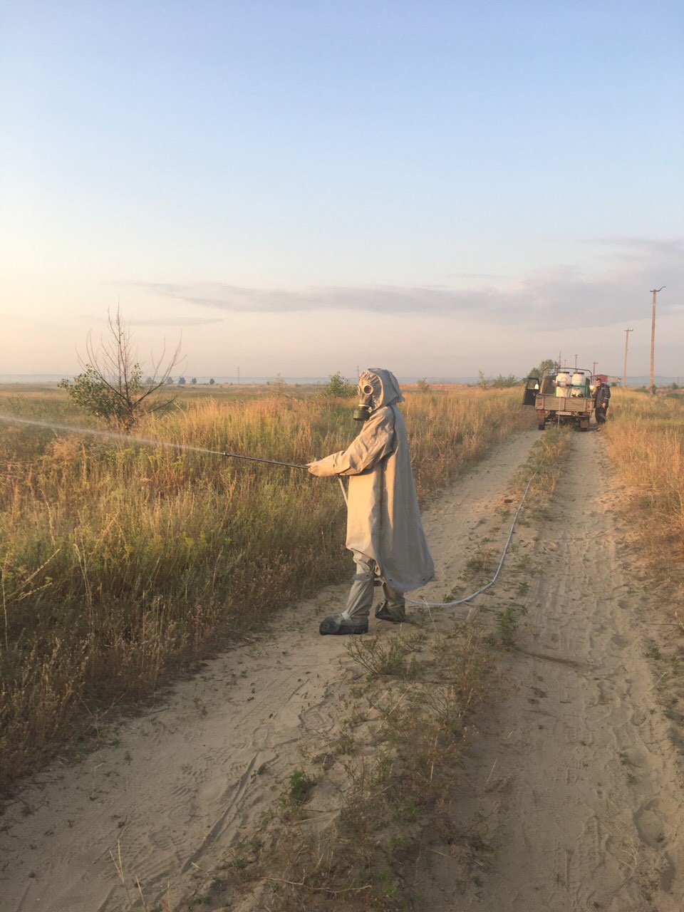 На Луганщині Держпродспоживслужба бореться з нашестям сарани