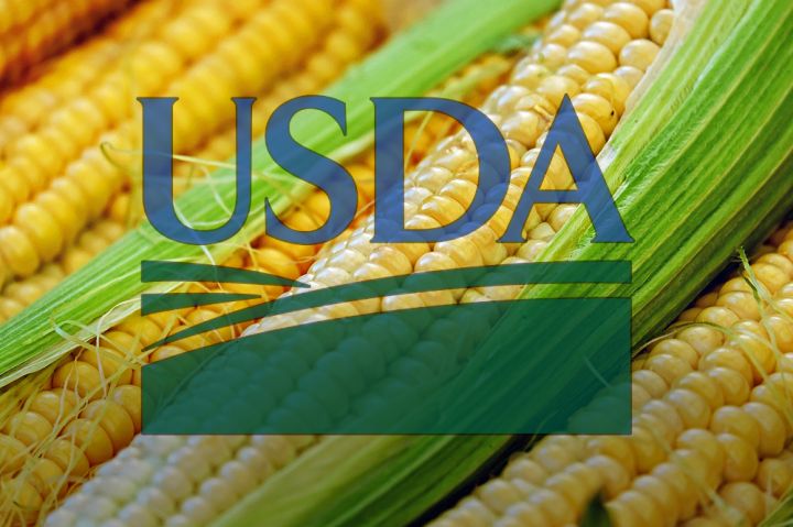 Липневий USDA: Продовжуємо жити мріями про кукурудзу
