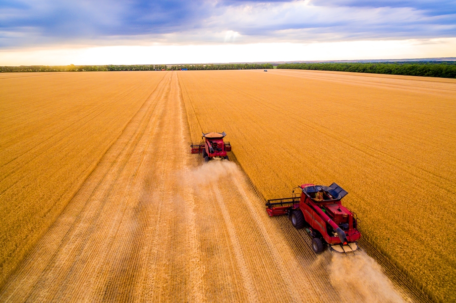 Жнива-2019: В Україні зібрано 28 млн тонн зерна нового врожаю