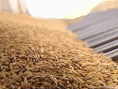За місяць Україна експортувала вже понад 3,7 млн тонн зерна