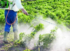 Вже цієї осені непридатні пестициди можна буде вивозити для утилізації