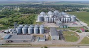 Мережа елеваторів «Укрлендфармінгу» прийняла понад півмільйона тонн зернових нового врожаю