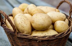 Ціна на картоплю в Україні побила рекорд для вересня