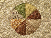 З початку 2019/20 МР з України експортовано понад 11 млн тонн зерна