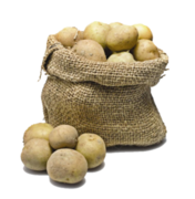 Протягом серпня Україна імпортувала річний обсяг картоплі