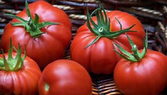 За тиждень тепличні помідори подешевшали на 15%