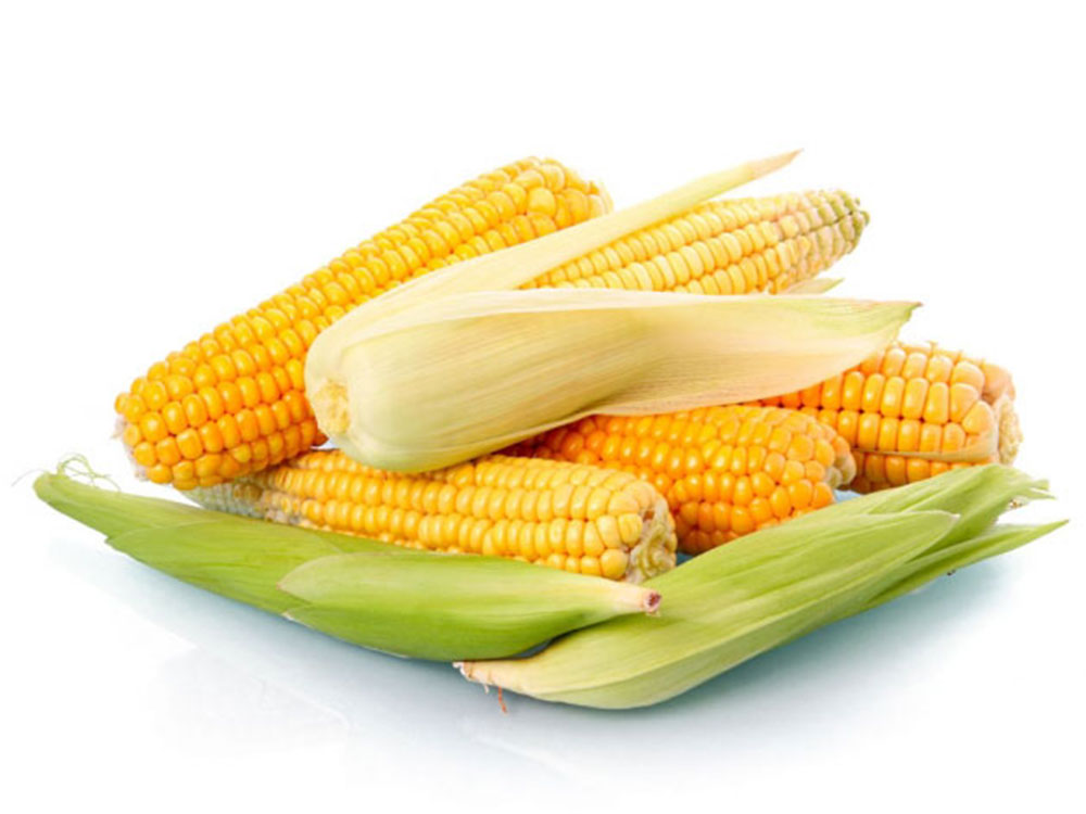 Жнива-2019: В Україні зібрано понад 10 млн тонн кукурудзи