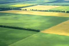 Названо ТОП-10 агрохолдингів України за розміром земельного банку