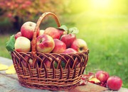В Україні знижуються ціни на яблука