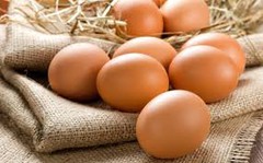 Експорт українських яєць до Гонконга