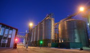 Елеватори «Укрлендфармінгу» прийняли понад 1,2 млн тонн зерна