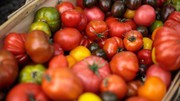 Імпорт томатів до України зріс майже на чверть
