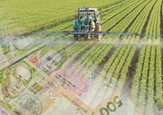 В Україні запустять дві програми держпідтримки аграрного сектора