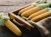 Ціни на кукурудзу залишаються стабільними через відсутність попиту