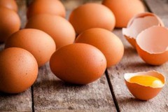В Україні зросло виробництво яєць