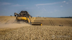 Вінниччина досягла найвищих показників валового збору зерна
