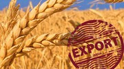 З початку 2019/20 МР з України експортовано понад 21 млн тонн зерна
