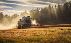 Малі фермери України отримають кредити на придбання землі під 3-5%
