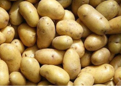 Урожай картоплі цього року менший, ніж у минулому році