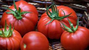 В Україні подорожчали місцеві та імпортні томати