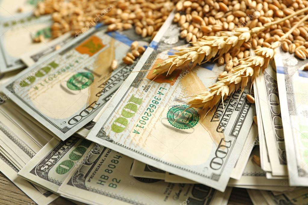 З початку 2019/20 МР з України експортовано 25,8 млн тонн зерна