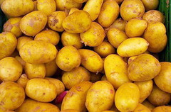 Імпорт картоплі до України знизився вдвічі