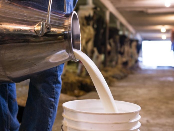Можлива криза молочної галузі в разі запровадження ринку землі
