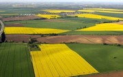 Розгляд правок до законопроекту про ринок землі в Україні знову перенесли