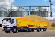 В Україні запрацював онлайн-сервіс для спрощення розсилки реєстрів зернових вантажів