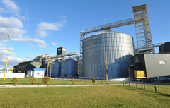 У новий рік за третім мільйоном: філія «Козацька» першою перетнула позначку у 2 млн тонн прийнятої сільгосппродукції