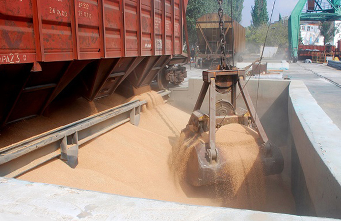 Укрзалізниця попросить владу надавати пріоритет перевезень зерна в пік сезону