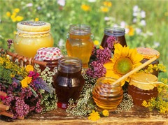 Українські пасічники побили рекорд експорту меду, але отримали менше виручки