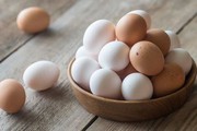 Україна та Японія погодили ветсертифікат на експорт яєць