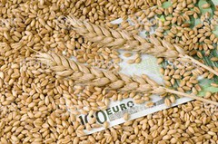 Інтрига з цінами на пшеницю продовжується