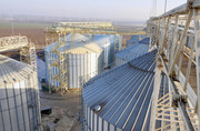 Плюс 22 тисячі тонн зі зберігання сільгосппродукції для філії «Вознесенська»