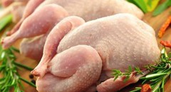Китай імпортуватиме українську курятину