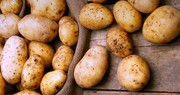 В Іспанії різко подорожчала картопля