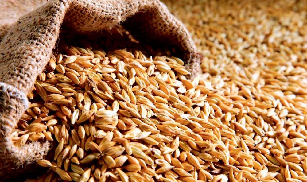 З початку сезону експорт українського зерна перевищив 34 млн тонн