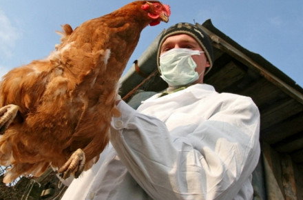 На Донеччині обговорили заходи з профілактики грипу птиці