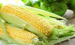 Україна входить до числа країн-лідерів за виробництвом кукурудзи в світі