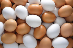Гонконг посилив санітарні вимоги до імпорту українських яєць