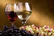 Виноробство Одещини йде на спад
