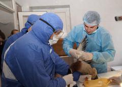 У Київському зоопарку навчали реагувати при виявленні грипу птиці