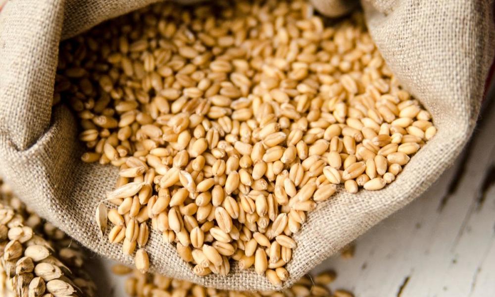 У 2019/20 МР Австралія зібрала мінімальний урожай пшениці за останні 12 років