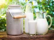 Промислові підприємства у січні виробили на 0,2% більше молока