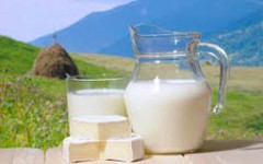 Названо розмір держпідтримки для сімейних молочних ферм в Україні