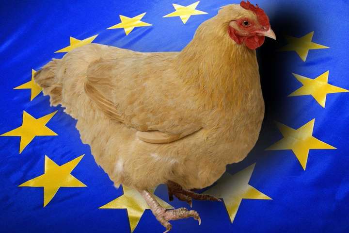 7 березня набуває чинності рішення Єврокомісії про зонування спалаху пташиного грипу в Україні