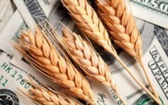 Причини падіння ціни на пшеницю