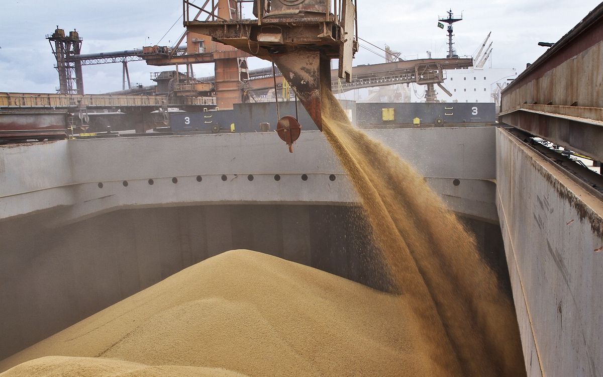 УЗА вимагає в уряду не допустити зупинки експорту зернових з України